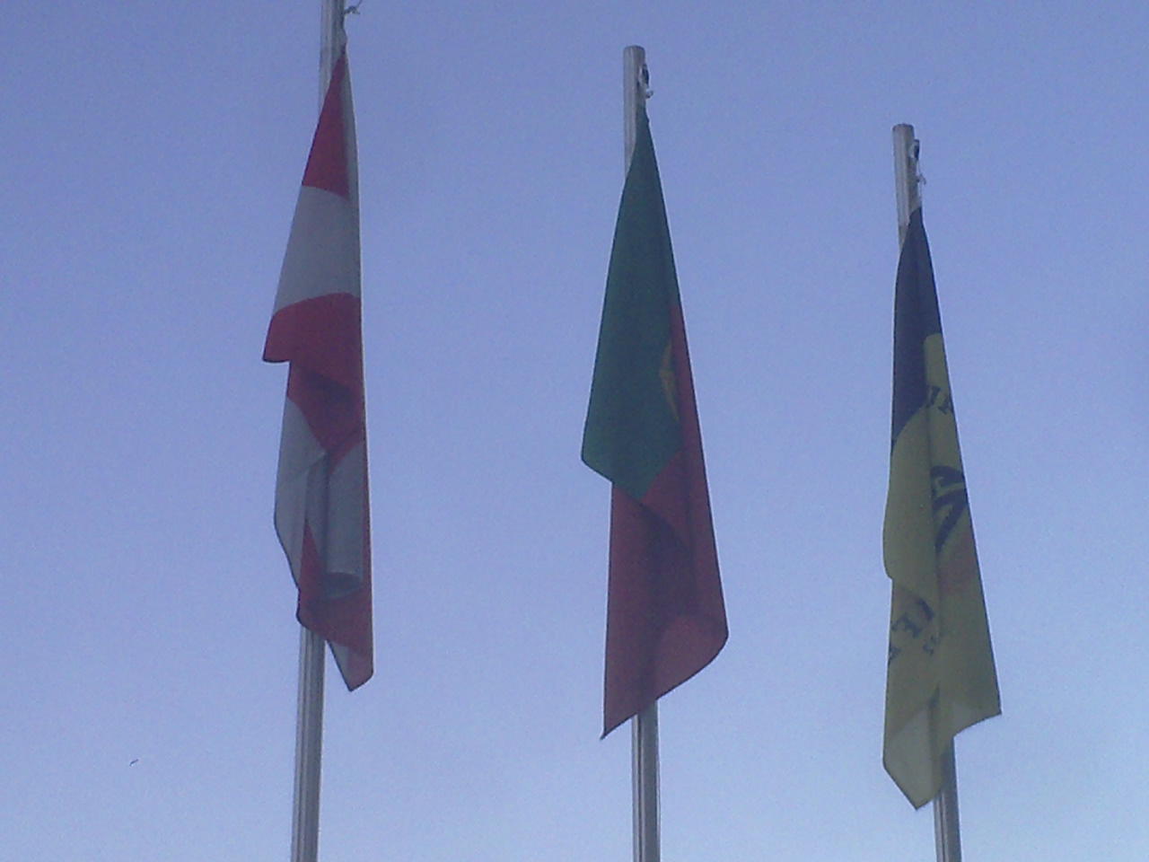 COMEMORAÇÕES 80 ANOS